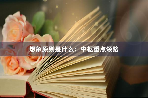 想象原则是什么：中枢重点领路